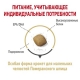Померанский шпиц
