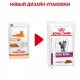 Royl Canin Early Renal Feline мелкие кусочки в соусе