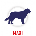 MAXI