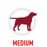 MEDIUM