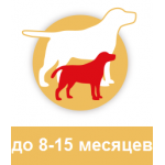 до 8-15 месяцев