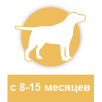 с 8-15 месяцев