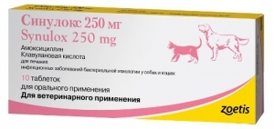 Синулокс 250 Мг Купить